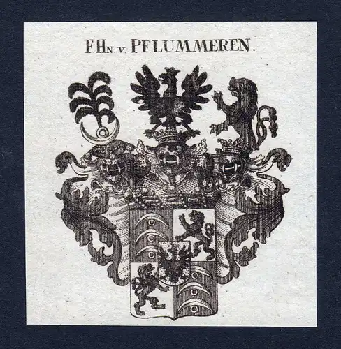 Ca. 1820 Pflummeren Pflummern Wappen Adel coat of arms Kupferstich antique print