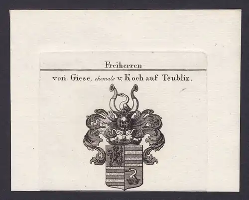 Giese Wappen Adel coat of arms Heraldik heraldry Kupferstich engraving 1820