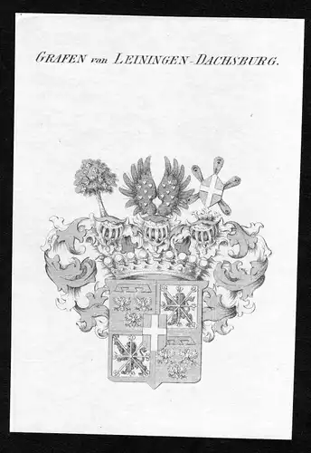 Ca. 1820 Leiningen-Dagsburg Wappen Adel coat of arms Kupferstich antique print