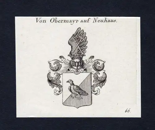 Ca. 1820 Obermayr auf Neuhaus Wappen Adel coat of arms Kupferstich antique print