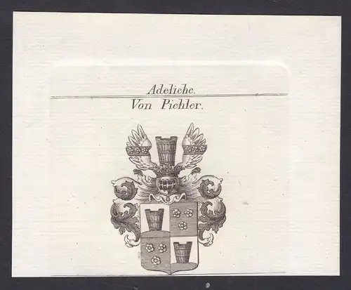 Pichler Wappen Adel coat of arms heraldry Heraldik Kupferstich antique print