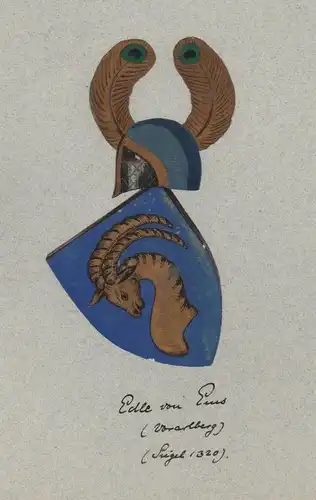 1880 - Edle von Ems Vorarlberg Wappen Genealogie genealogy Original Aquarell