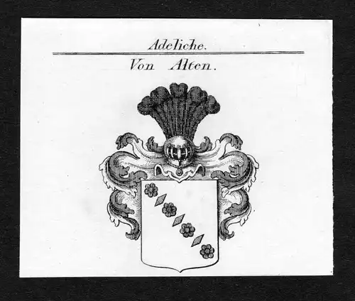 Ca. 1820 Alten Wappen Adel coat of arms Kupferstich antique print heraldry