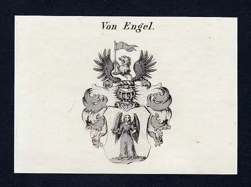 Ca. 1820 Engel Wappen Adel coat of arms Kupferstich antique print heraldr 142133