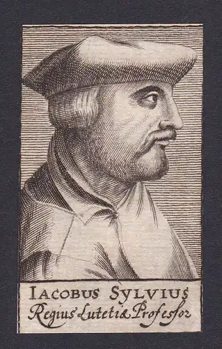 Jacobus Sylvius / doctor Arzt Mediziner Frankreich France Portrait Kupferstich