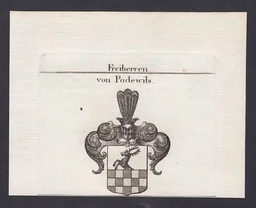 1820 Podewils Hinterpommern Wappen Adel coat of arms Kupferstich antique print