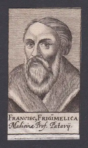 17. Jh. Francesco Frigimelica / doctor Mediziner Arzt Padua Portrait Kupferstich