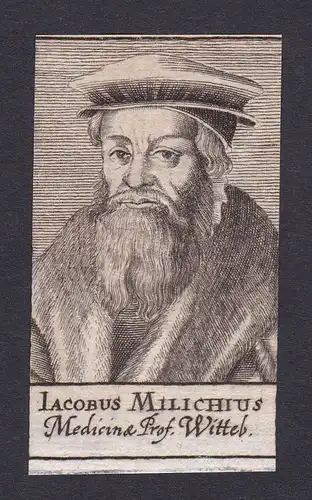17. Jh. Jakob Milich Mathematiker mathematician Wittenberg Portrait Kupferstich