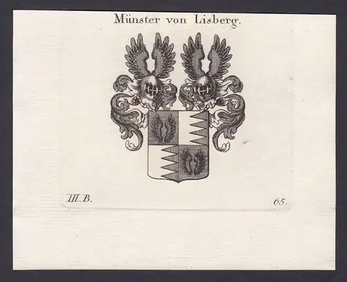 1820 Münster Lisberg Franken Bamberg Wappen Adel coat of arms Kupferstich