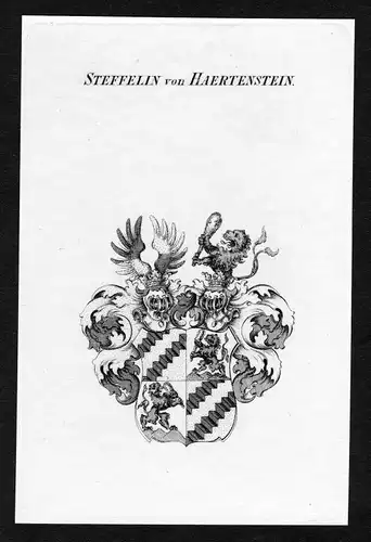 Ca. 1820 Steffelin von Hartenstein Wappen Adel coat of arms Kupferstich antique