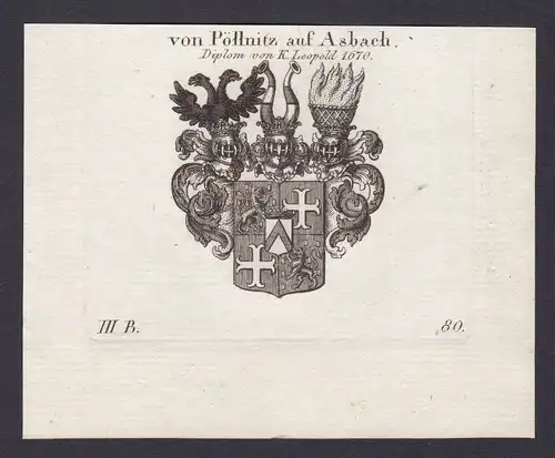 Pöllnitz Poellnitz Asbach Wappen Adel coat of arms Kupferstich antique print