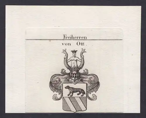 1820 Ott Wappen Adel coat of arms heraldry Heraldik Kupferstich antique p 162942