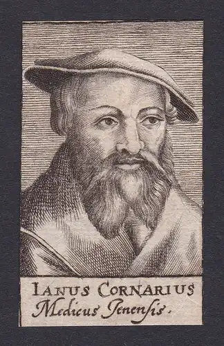17. Jh. Janus Cornarius / doctor Mediziner Arzt Jena Portrait Kupferstich