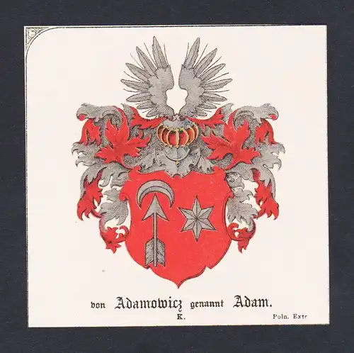 19.Jh. Adamowicz Adam Wappen Heraldik coat of arms heraldry Litho