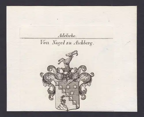 Nagel zu Aichberg Wappen Adel coat of arms Heraldik Kupferstich antique print