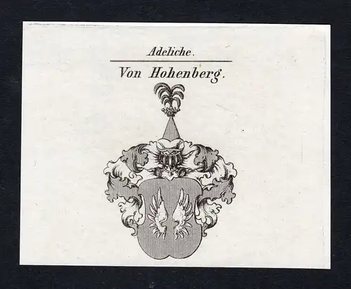 Ca. 1820 Hohenberg Wappen Adel coat of arms Kupferstich antique print heraldry