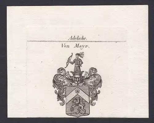 Mayr Mayer Maier Wappen Adel coat of arms Heraldik Kupferstich antique print