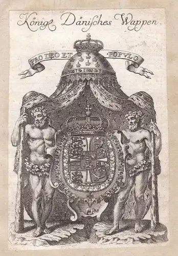 Dänemark Denmark Danmark Adel Wappen coat of arms Kupferstich antique print