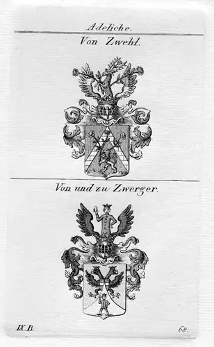 Zwehl / Zwerger - Wappen Adel coat of arms heraldry Heraldik Kupferstich