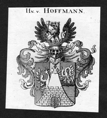 1820 - Hoffmann Wappen Adel coat of arms heraldry Heraldik Kupferstich