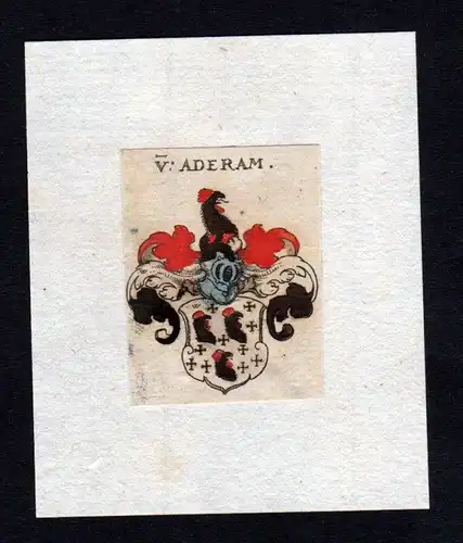 17. Jh. Aderam Wappen coat of arms heraldry Heraldik Kupferstich