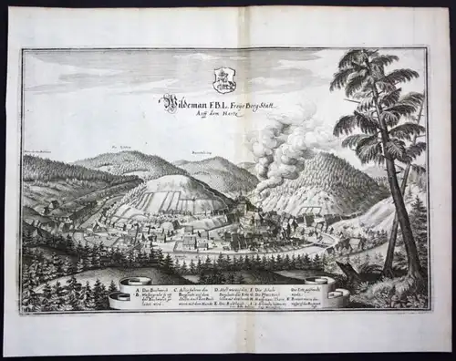 Wildemann / Oberharz / Harz - Gesamtansicht - Karte Kupferstich Merian Merian: