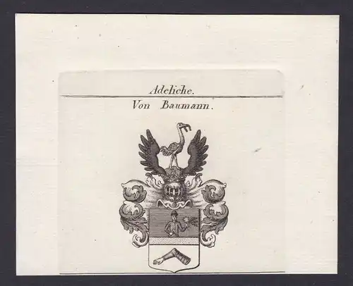 1820 Baumann Wappen Adel coat of arms Heraldik Kupferstich antique print