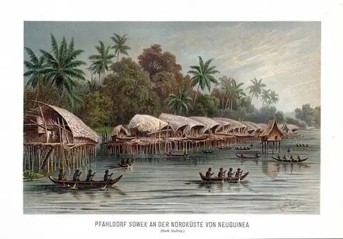 1890 Neuguinea New Guinea Sowek Boot boat Pfahldorf Dorf valley Lithographie