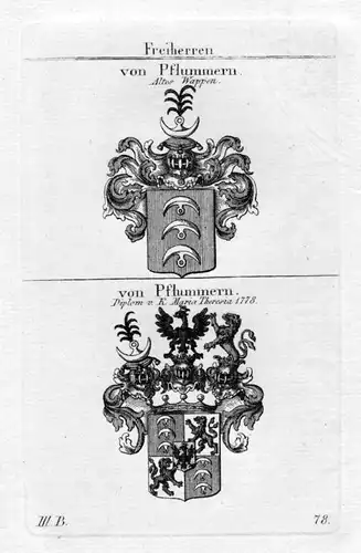 Pflummern - Wappen Adel coat of arms heraldry Heraldik Kupferstich
