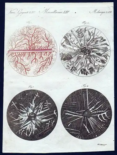 1800 Kupfer Blei Zinn copper lead tin Mikroskopie microscopy Bertuch Kupferstich