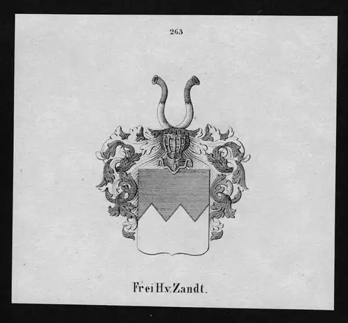 von Zandt Wappen Adel coat of arms heraldry Heraldik Lithographie