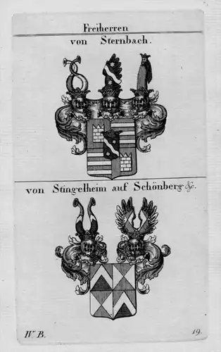 Sternbach Stingelheim Wappen Adel coat of arms Heraldik crest Kupferstich