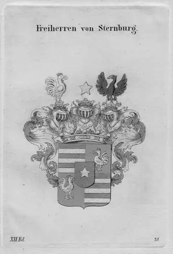 Sternburg Wappen coat of arms heraldry Heraldik Kupferstich