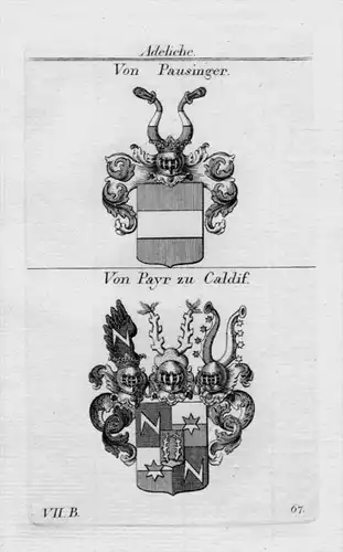 Pausinger Payr Caldif Wappen coat of arms heraldry Heraldik Kupferstich