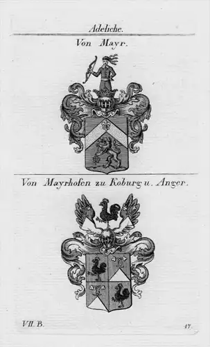 Mayr Mayrhofen Koburg Anger Wappen coat of arms heraldry  Kupferstich