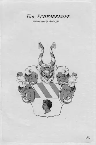 Schwarzkopf Wappen Adel coat of arms heraldry Heraldik crest Kupferstich