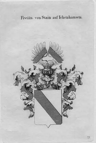 Stain Ichenhausen Wappen Adel coat of arms heraldry Heraldik Kupferstich