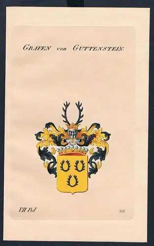 Grafen von Guttenstein Wappen Kupferstich Genealogie Heraldik coat of arms