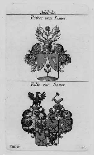 Samet Sauer Wappen Adel coat of arms heraldry Heraldik Kupferstich
