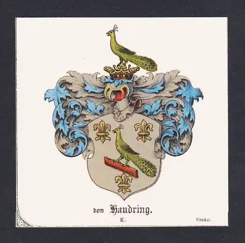 . von Haudring Wappen Heraldik coat of arms heraldry Litho