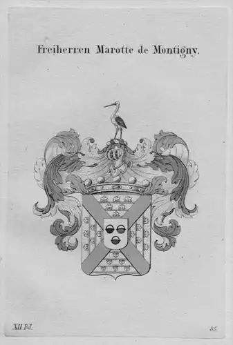 Marotte Montigny Wappen coat of arms heraldry Heraldik Kupferstich
