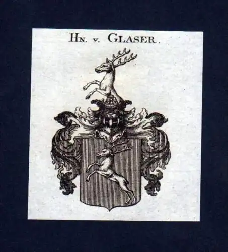 Herren v. Glaser Kupferstich Wappen