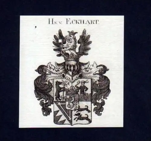 Herren v. Eckhart Heraldik Kupferstich Wappen