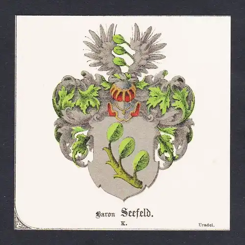 . Baron Seefeld Wappen Heraldik coat of arms heraldry Lithographie