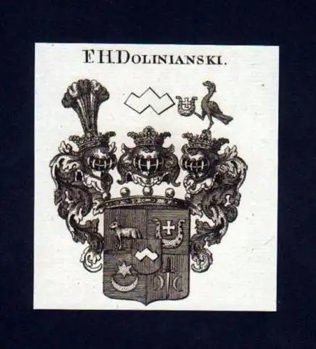 Freiherren Dolinianski Kupferstich Wappen