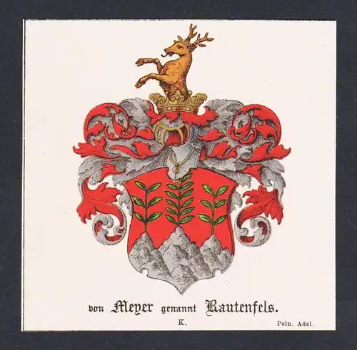 . von Meyer Bautenfels Wappen Heraldik coat of arms heraldry Lithographie