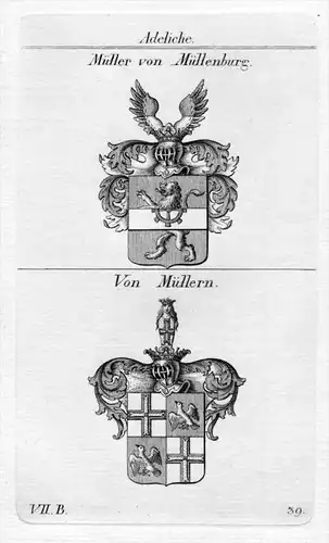 Müller Müllenburg Müllern Wappen coat of arms Kupferstich