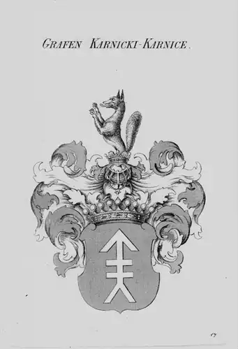 Karnicki-Karnice Wappen Adel coat of arms heraldry Heraldik Kupferstich