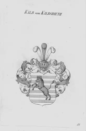 Kalb Kalbsrieth Wappen Adel coat of arms heraldry Heraldik Kupferstich