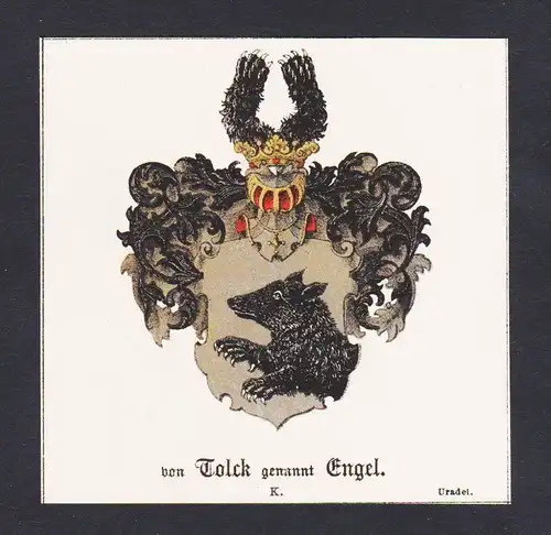 . von Tolck Engel Wappen Heraldik coat of arms heraldry Lithographie
